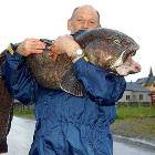 Big Fish