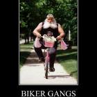 Biker Gangs