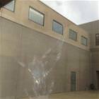 Bird Had A Tough Day