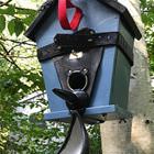 Bird House