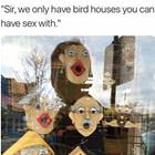 Bird Houses