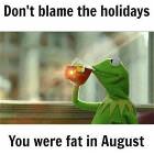 Blaming The Holidays