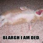 Blargh