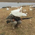 Blending In