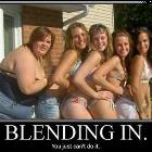 Blending In