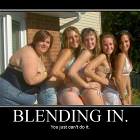 Blending In