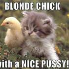 Blonde Chick