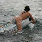 Blow Up Dolphin