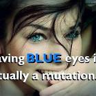 Blue Eyes