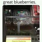 Blueberries