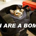 Bomb