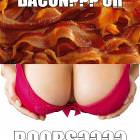 Boobs-or-bacon