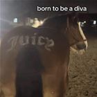 Born To Be