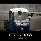 Boss Driver