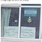 Both Sound Like Fun