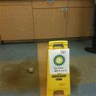 Bp Spill