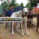 Brazzers Logo