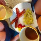 Breakfast Of Champions