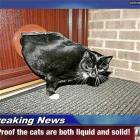 Breaking News