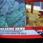 Breaking News
