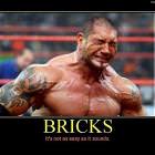 Bricks