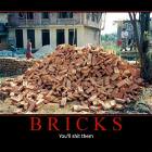 Bricks