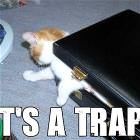 Briefcase Trap