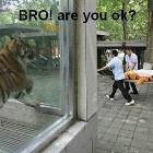 Bro You Ok