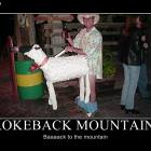 Brokeback Mountain 2