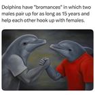 Bromance