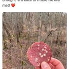 Brought Him Back