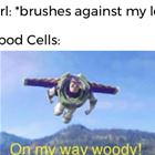 Brushes Against