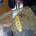 Bug Guard