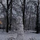 Built A New Snowman