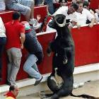 Bull Break