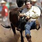 Bull Riding