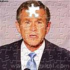 Bush Puzzle