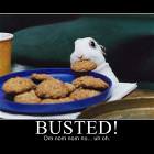 Busted