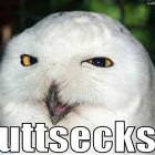 Buttsecks
