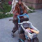 California Barbie