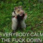 Calm Down
