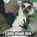 Calm Down