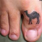 Camel Toe