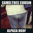 Cameltoes Cousin