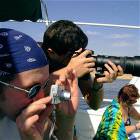 Camera Man