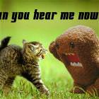 Can You Hear Me Now