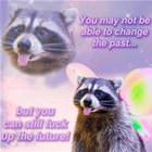 Cannot Change The Past