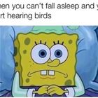Cannot Fall Asleep
