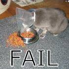 Cant Eat That