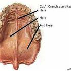 Captain Crunch Is Dangerous